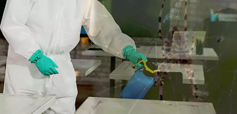 Why Buyers Still Want Homes With Pest Infestations in Charlotte, NC?