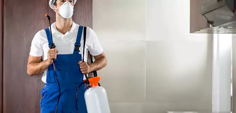 Why Charlotte Homeowners Choose Us When Pests Make Selling Difficult