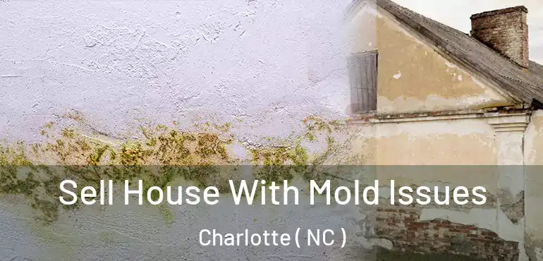  Sell House With Mold Issues Charlotte ( NC )